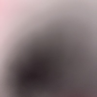 Hapsa F photo